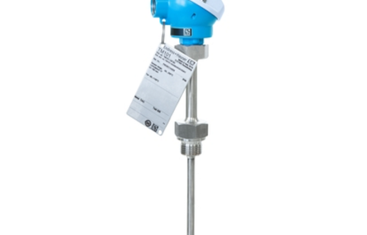 Термометр iTHERM ModuLine TM101 Endress+Hauser